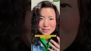 Tricia Wang on her Favorite Consensus Speaker