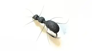 Black Foam Ant Dry Fly. #dryfly #antfly #flytying #flyfishing #foamfly #troutflies #graylingfly 