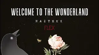 Flex by Haztekk