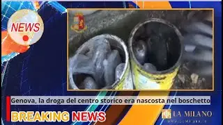 Genova, la droga di spaccio nel centro storico era nascosta nel boschetto: arresti e perquisizioni
