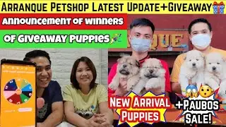 ARRANQUE PETSHOP UPDATE NEW ARRIVAL & PAUBOS SALE FEB 19 + GIVEAWAY WINNERS!