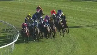 2020 Epsom Handicap | Probabeel