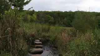 Straight Lake SP- Luck, WI
