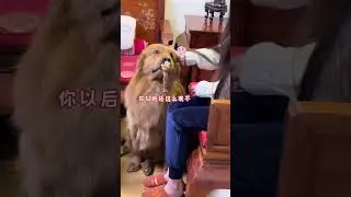 ᠭᠡᠷ ᠲᠡᠭᠡᠨ ᠬᠠᠷᠢᠭᠠᠳ ᠣᠷᠣᠢ ᠪᠣᠯᠵᠠᠢ ᠂ ᠠᠭᠤᠷ ᠭᠠᠷᠭᠠᠭᠰᠠᠨ ᠠᠯᠲᠠ ᠶ᠋ᠢ ᠣᠯᠵᠤ ᠦᠵᠡᠵᠡᠢ ᠂ ᠡᠵᠢ ᠶ᠋ᠢᠨ ᠪᠢᠴᠢᠬᠠᠨ ᠨᠣᠬᠠᠢ ᠨᠢᠭᠡ ᠶ