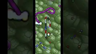 slither.io khela or last me popat ho gya🐍 #song #slitherio #snake #games