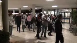הכנסת ספר תורה קיבוץ גבעת ברנר חלק 1