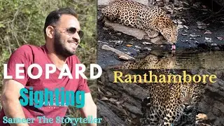 Rare & beautiful Sighting of Leopard , Ranthambore Safari in Zone no.1