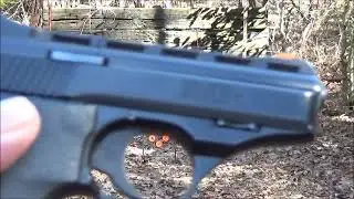 Phoenix Arms model HP22A shooting steel