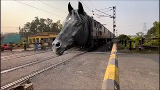  DANGEROUS BLACK horse,￼TRAIN AT INDIAN NEW INTERCITY EXPRESS TRAIN 