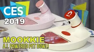 Умная миска для корма для домашних животных MOOKKIE с искусственным интеллектом на выставке CES 2019!