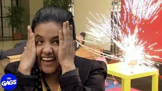 La science est fausse, encore... | Juste Pour Rire Les Gags