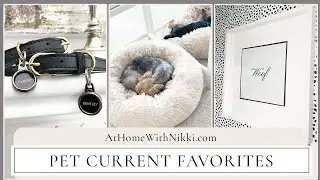 Pet Current Favorites