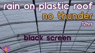 [Black Screen] Rain on Plastic Roof No Thunder | Rain Ambience | Rain Sounds for Sleeping