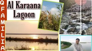 Al Karaana Lagoon Qatar | Al Karaana Bird Watching Spot | Must Visit Place in Qatar | Birds Paradise