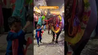The way he handles the bull is awesome. Khairatabad Sadar | Sadar sayyaata | #sadar2025 #ladduyadav
