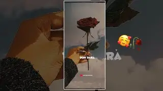 New Love Full Screen Status 2021 || Trending Status Love || Full Screen Status Love Hindi