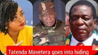 Tatenda Mavetera allegedly goes into hiding as Bombshell Geza issue final warning to ED