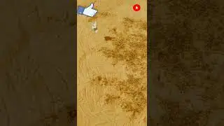 Notebook Paper Airplane,flying#ytshorts#shortsfeed #shorts#shortvideo#viral