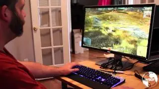 Guild Wars 2 in 4k UHD
