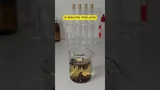 What happens when you drink clove water #parasite #clove #health #healthylifestyle