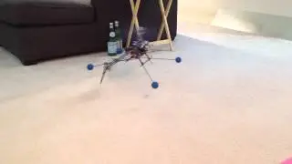 HobbyKing HK450 first time hover