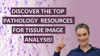 10+Best Pathology Resources for Tissue Image Analysis