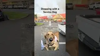 За покупками с собакой-помощником 🐕&zwj;🦺🛒🛍️#собака #дрессировка #командасобаки-помощника