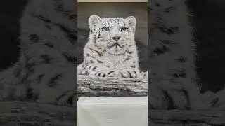 Art. Large Snow leopard painting. Acrylic on Canvas. #snowleopard