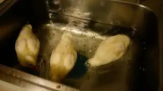 When we were little   -3 TN ducklings