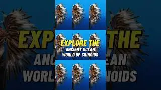 Explore the ancient ocean world of Crinoids, the stunning 