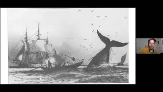 The North Pacific Right Whale: The World&rsquo;s Rarest Whale