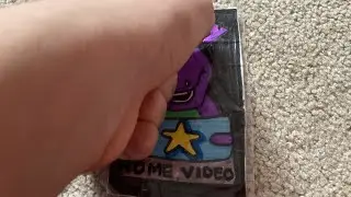 Barney home video&rsquo;s irrelevance (spoiler: this company died)