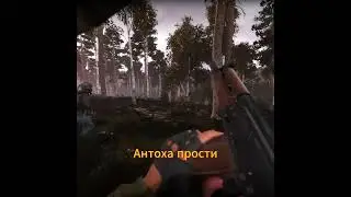 Антоха прости - напали кабаны  #armstalker #stalker #rp @RagnarValhalla