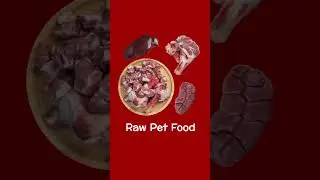 How to protect your pets from EMF stress?