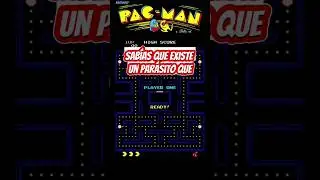 Hymenolepis diminuta: El Par&aacute;sito 'Pacman' que Sorprende al Mundo #shorts