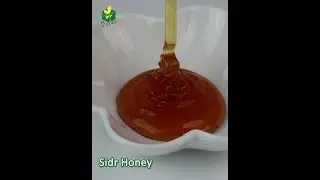 DELEE FOODS HALAL Pure Natural Raw Filtered Sidr Honey _  #honey