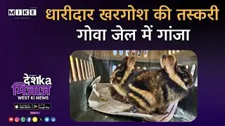 Let&rsquo;s Mike Desh Ka Mijaj West India News: Striped Rabbit Smuggling & Ganja Found in Goa Jail