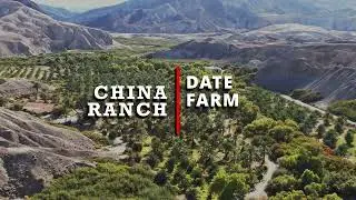 China Ranch Date Farm 2022