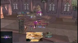 Testing Healer - L2 Amerika