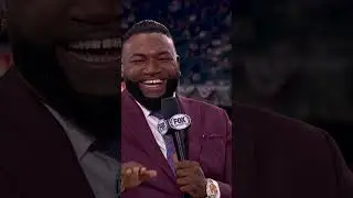 Yankees fans BOO Big Papi at the World Series 😂 #yankees #redsox #baseball #mlb