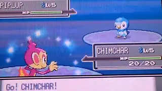 [WSHC#2][LIVE!] Shiny Chimchar after 17,486 SRs!! [Platinum BQ1]