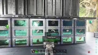 Ark Survival Ascended PS5 | We Found A Home | Join Us Cross Play Server