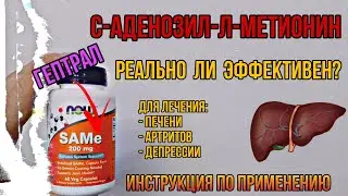Эффективен ли SAMe (ГЕПТРАЛ) для лечения Печени Артрита? Инструкция по применению Купить Цена Отзывы