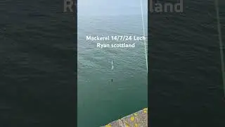 Mackerel fishing loch Ryan