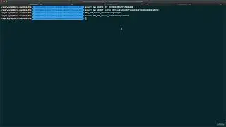 Run Packer Build 1
