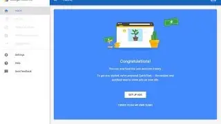 google adsense earnings 2017