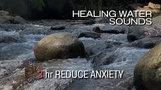 4K HDR Forest Stream - Relaxing River Sounds - No Birds - Natural White Noise - Relax/ Sleep/ Study