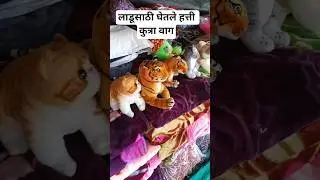 #toys लाडूची आजची मस्ती 😍🧸 #Lado #Toys #Fun