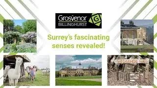 Top Appeals in Surrey Hills | Grosvenor Estate agents