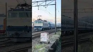 12系客車、試運転！！#大井川鐵道 #jr西日本 #西日本旅客鉄道 #12系客車 #国鉄 #急行形客車
